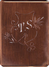TS - Seltene Stickvorlage - Uralte Wäscheschablone mit Wappen - Medaillon
